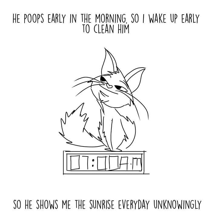 Black and white cartoon cat with text that reads: "He poops early in the morning, so I wake up to clean him, so he shows me the sunrise everyday unknowingly."