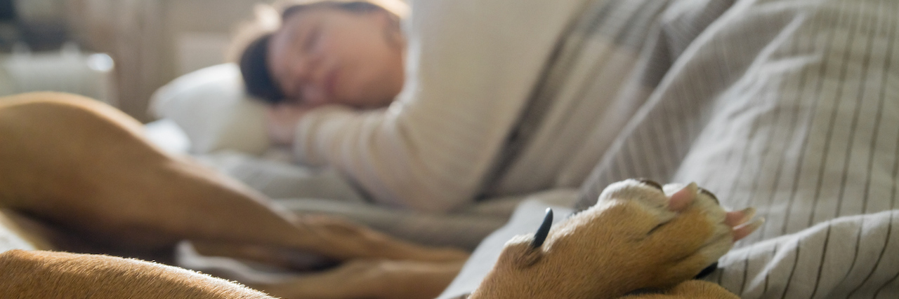 Woman laying in bed with a pet dog.
