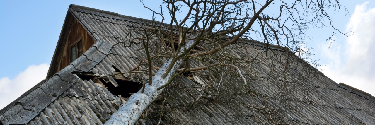 Roof damaged by a fallen tree.