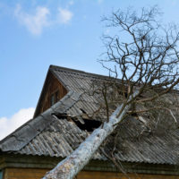 Roof damaged by a fallen tree.