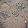 Handprints in the sand.