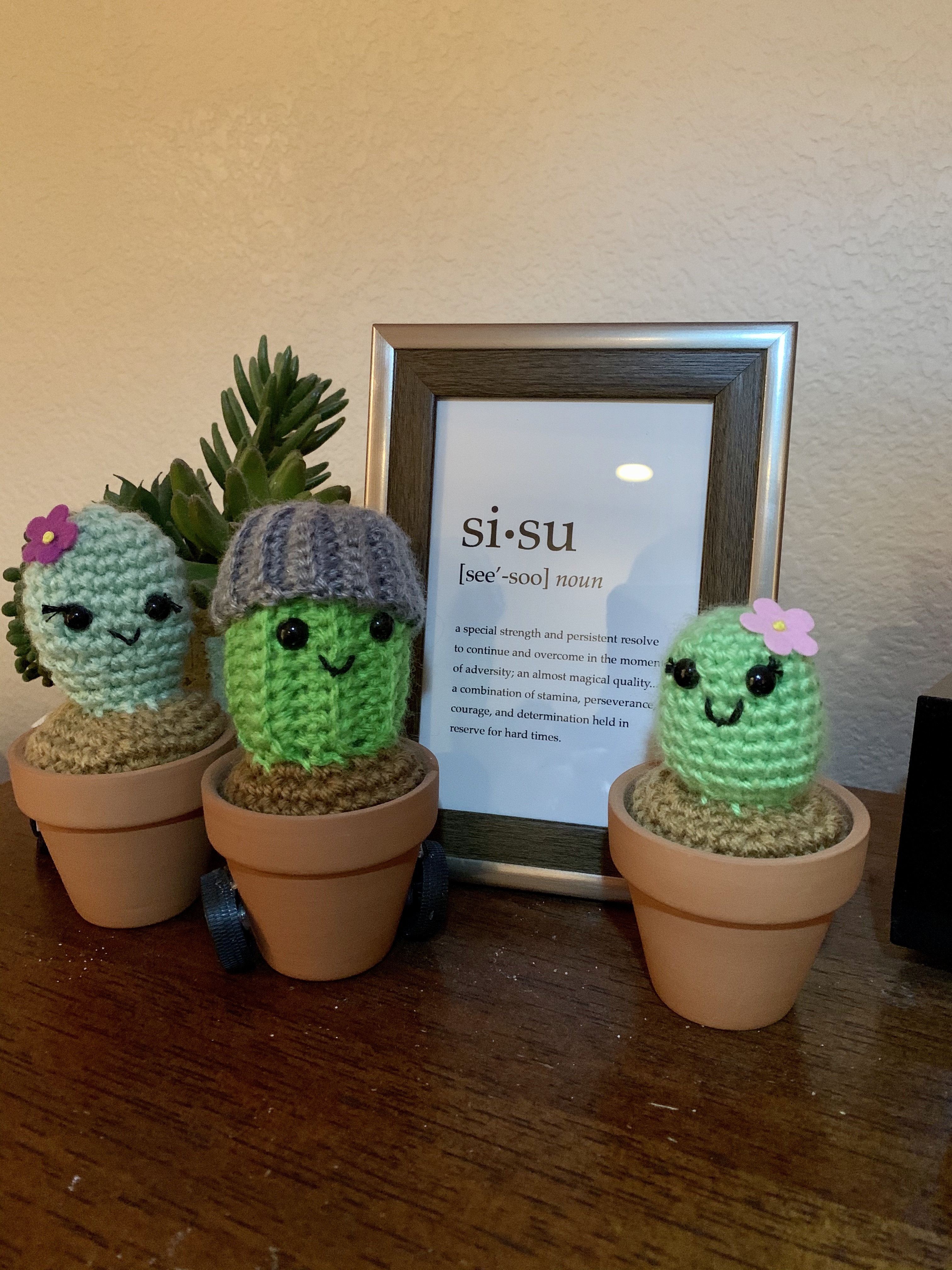 Sisu print next to crocheted cactus on a shelf.