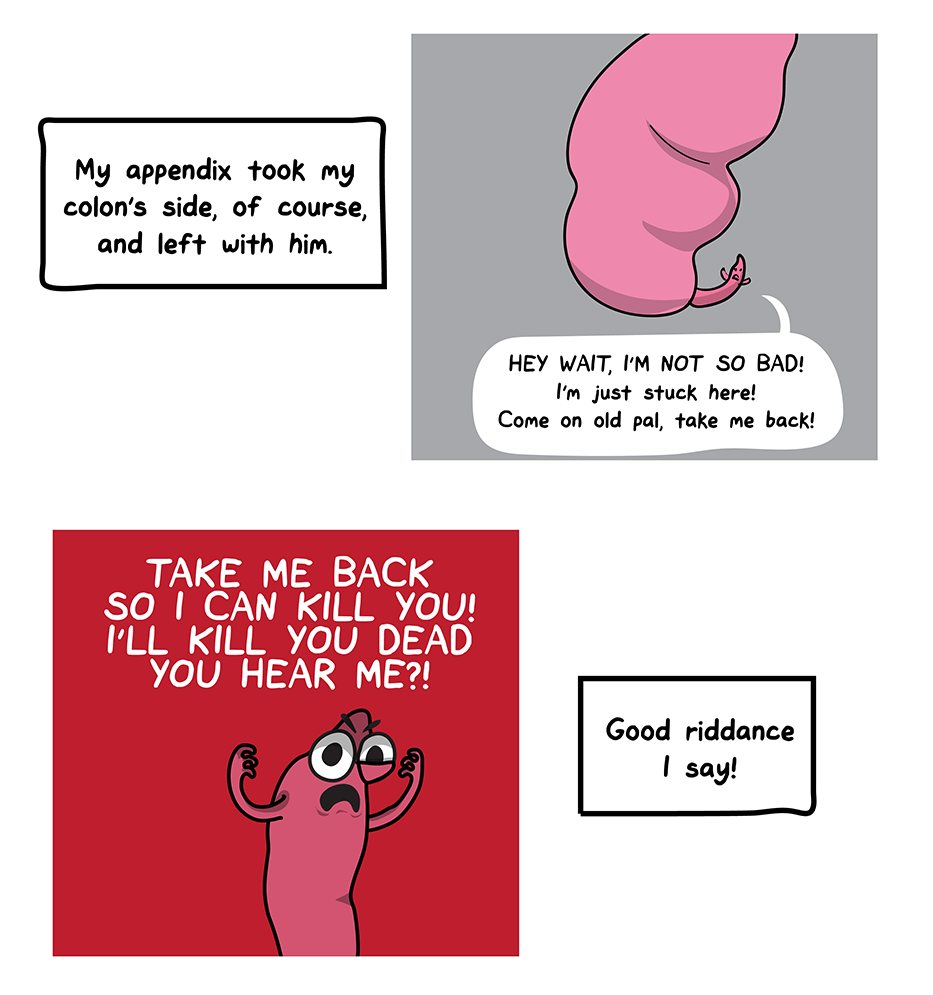 How I Broke Up With My Colon comic: My appendix took my colon's side, of course, and left with him. (A tiny cartoon appendix tries to protest and come back. the next frame shows a close-up on the angry appendix with a red background now threatening, Take me back so I can kill you! I'll kill you dead you hear me!?) Good riddance I say!