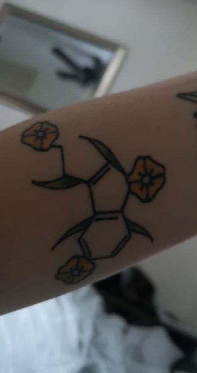 Alexandria shows off a tattoo of a serotonin molecule. The tattoo is adorned with leaves and flowers, which give the molecule the appearance of ivy. It is located on Alexandria's arm.
