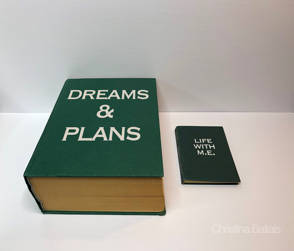 photo of two green books, one large reading "dreams and plan" and one small reading "life with m.e."