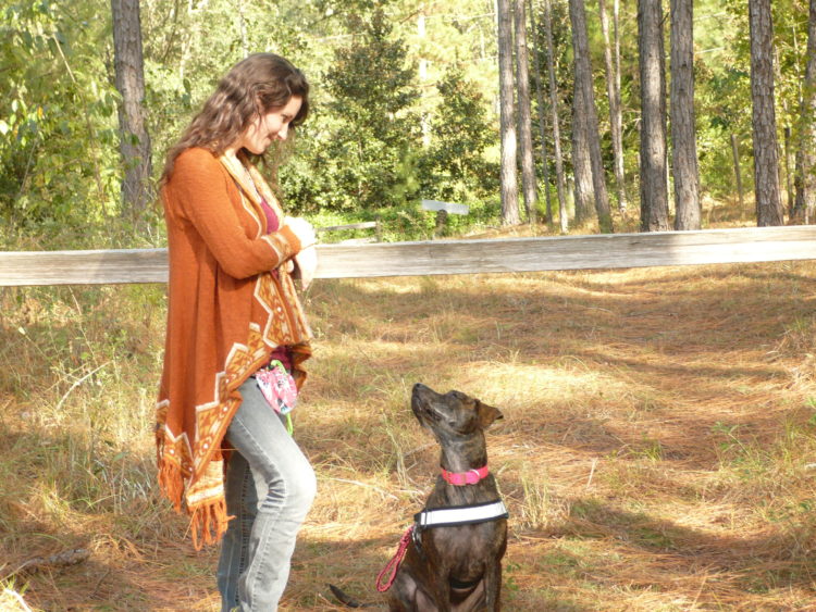 a young woman is looking at her service dog in the woods