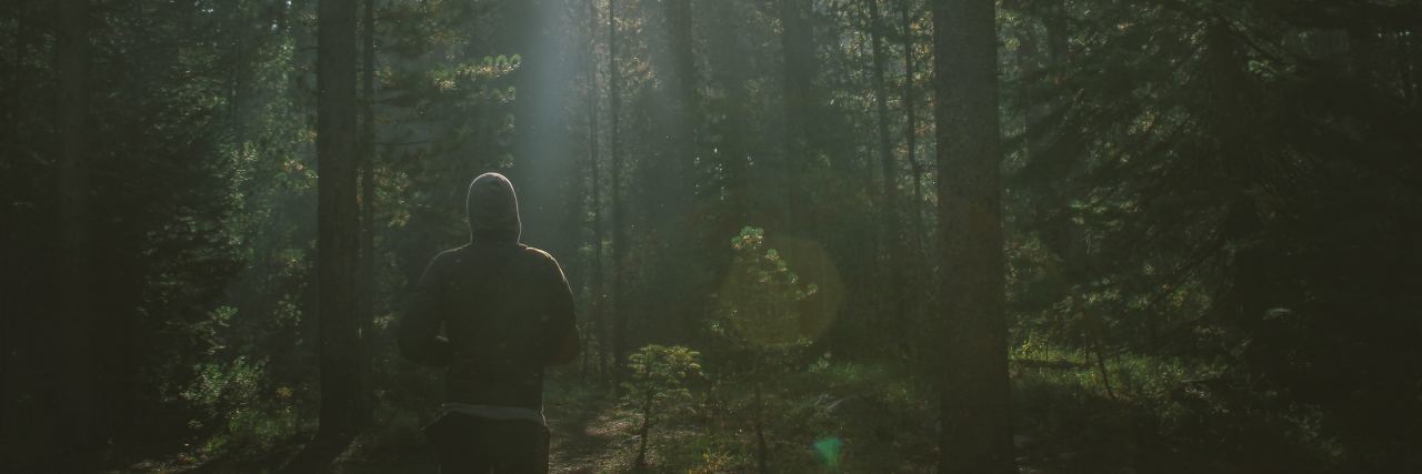 photo of man hiking in forest taken from behind and looking up at light