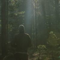 photo of man hiking in forest taken from behind and looking up at light