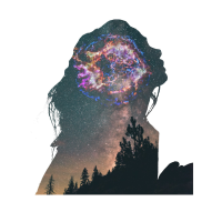 Image of a woman's profile combined with a silhouette of trees