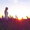 Woman in white dress walking through lavender fields. Sunrise in Provence, France