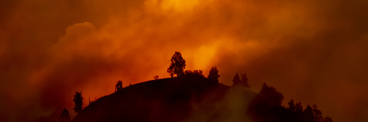 Surviving the Australian Bushfires With a Chronic Illness Hill with trees about to burn in wildfire.