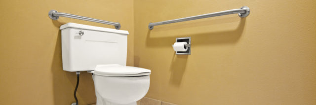Disability accessible toilet