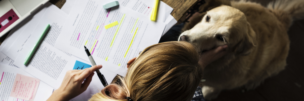 A woman with school work on her desk, looking down at a dog