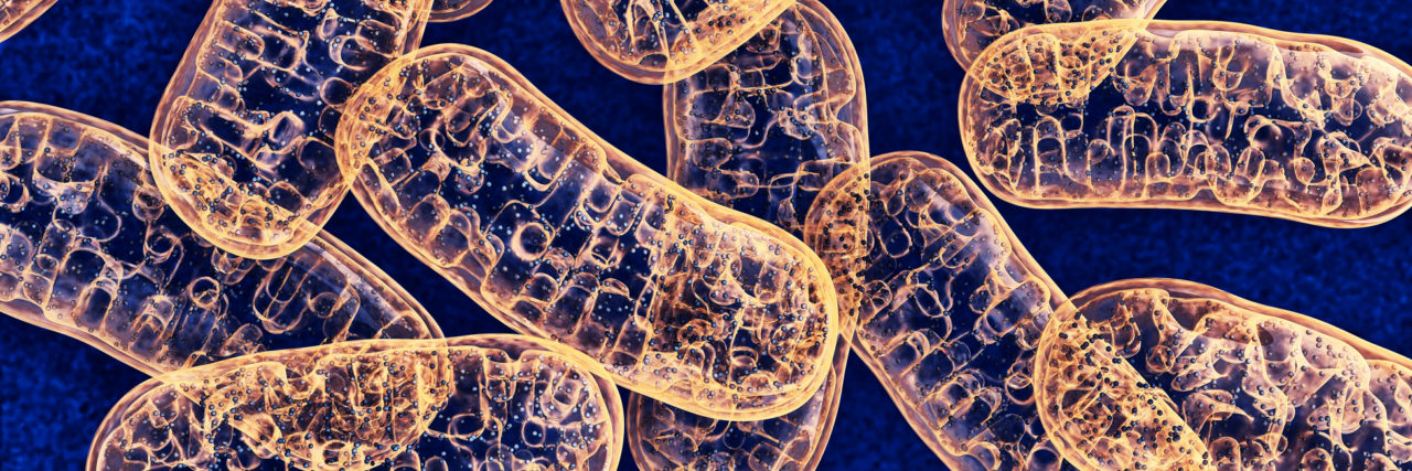 An illustration of mitochondria, the cell structures responsible for energy production.