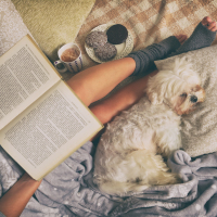 Woman lying on bed with dog reading a book.