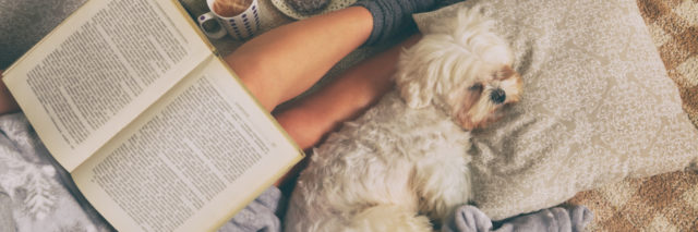 Woman lying on bed with dog reading a book.