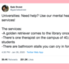 Screenshot of a tweet by @gabrielledrolet that reads: Universities: Need help? Use our mental health services! The services: -A golden retriever comes to the library once a week -There's one therapist on the campus of 40,000 students -There are bathroom stalls you can cry in for free!