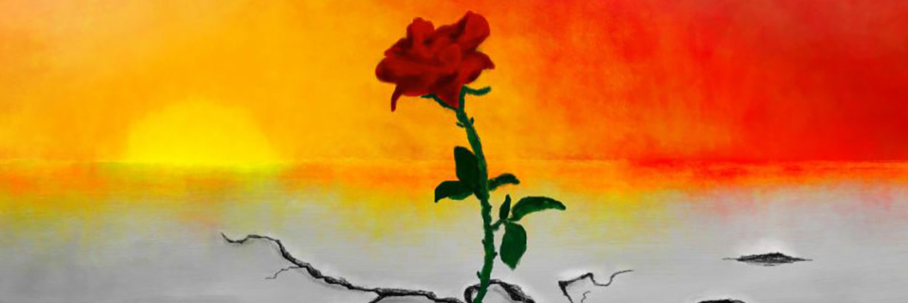 Arthrogryposis Made Me a Medically Rare Rose That Grew From Concrete Rose growing from cracks in concrete.