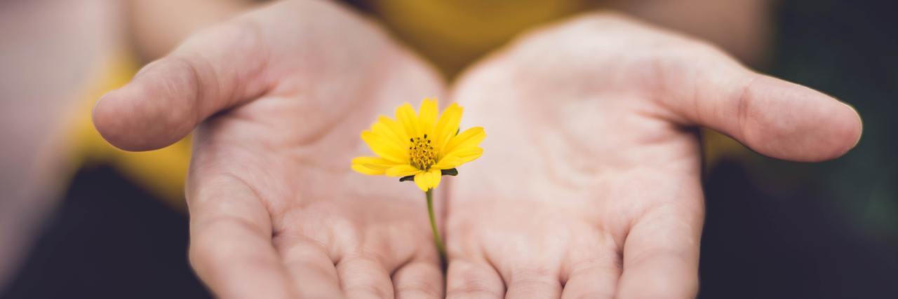 photo of person's hands cupped around small yellow flower or daisy, close up