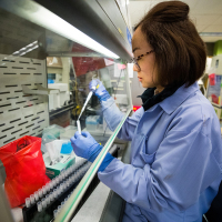 A medical laboratory scientist at the UW Medicine Virology laboratory in Seattle reviews samples of purified genetic material to detect COVID-19 cases on March 11, 2020. (Dan DeLong for KHN)