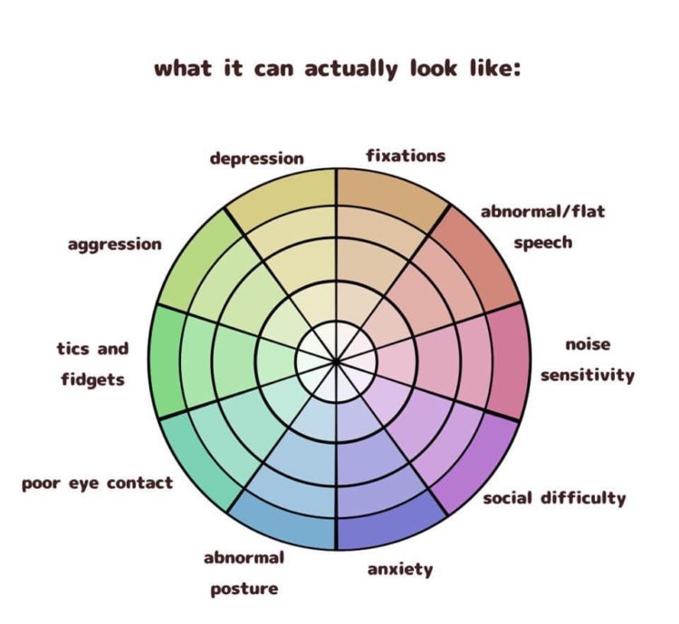 What autism spectrum can actually look like, with a wheel chart that has characteristics for: depression, fixations, abnormal/flat speech, noise sensitivity, social difficulty, anxiety, abnormal posture, poor eye contact, tics and fidgets, and aggression.