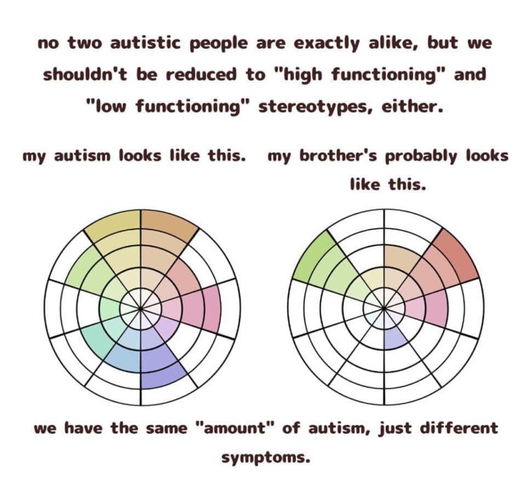 Transcript: No two autistic people are alike, but we shouldn't be reduced to "high functioning" and "low functioning" stereotypes, either. My autism looks like this (with one wheel chart of various levels). My brother's probably looks like this (with another wheel chart showing different levels). We have the same "amount" of autism, just different symptoms.