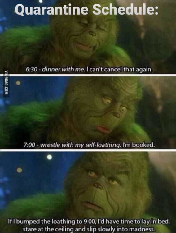 Meme showing 3 photos of the Grinch. Text: "6:30 - dinner with me, I can't cancel again. 7:00 - wrestle with my self-loathing. I'm booked."