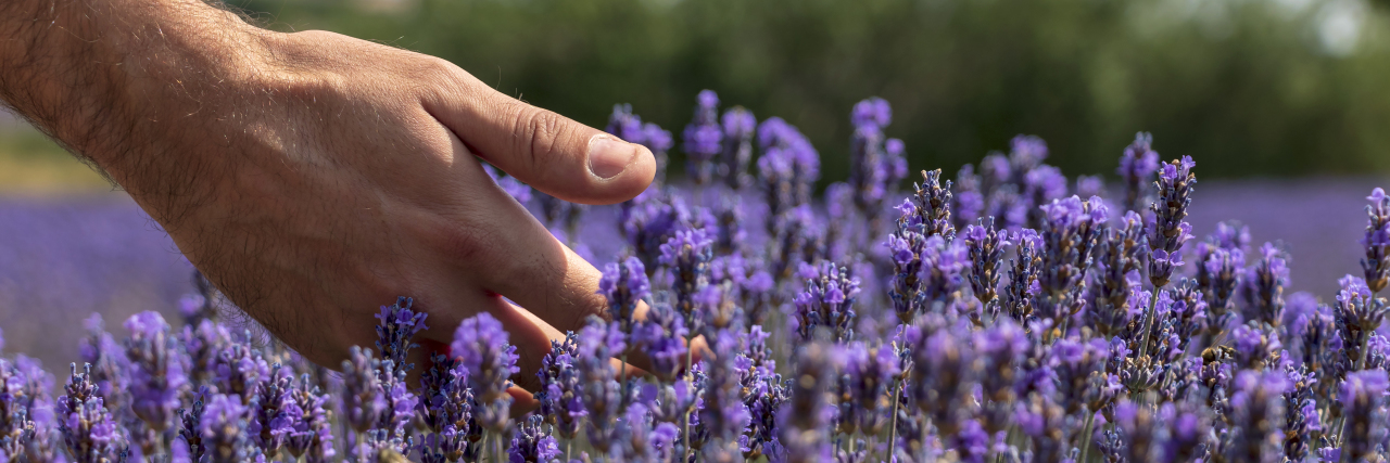 The '3 A's' of Getting Through COVID-19 Pandemic With Chronic Illness Close-up of man's hand in sunny lavender field.