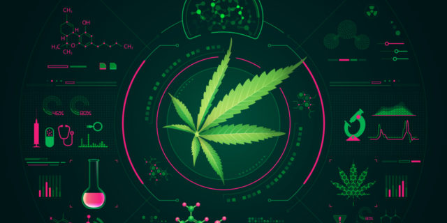 chemical analysis of cannabis or marijuana for medical industry, hemp leaf with science interface