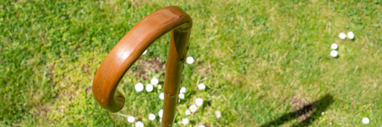 Shopping for a Walking Cane Online Walking cane in the grass.
