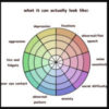 What it can actually look like (image of a wheel that has characteristics like: depression, fixation, social difficulty, flat speech, etc.)