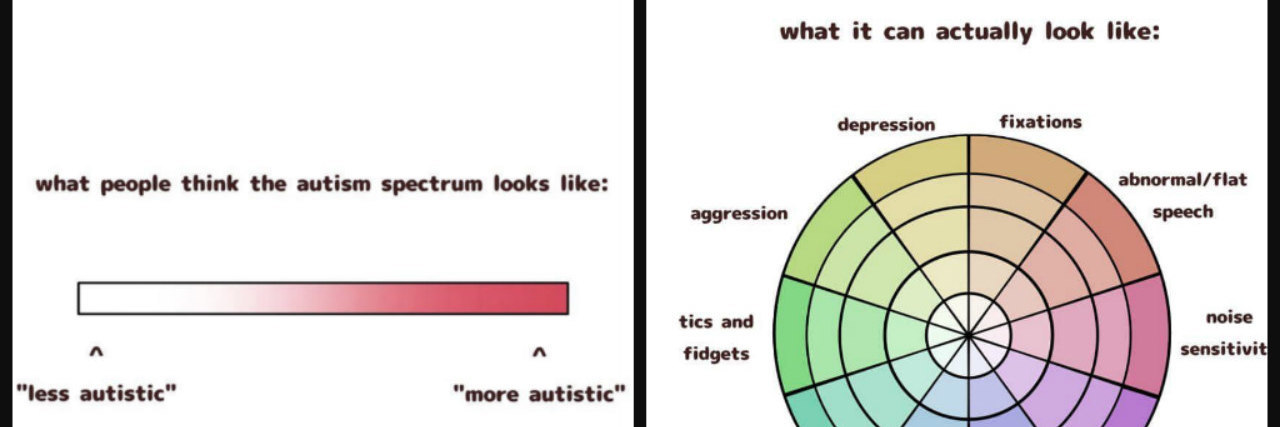 This Graphic Shows What the Autism Spectrum Really Looks Like Comparison of two charts. On the left is a straight spectrum for "What people think the autism spectrum looks like"; on the right is a wheel chart with separate intensities for different symptoms.
