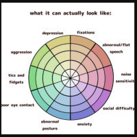 What it can actually look like (image of a wheel that has characteristics like: depression, fixation, social difficulty, flat speech, etc.)