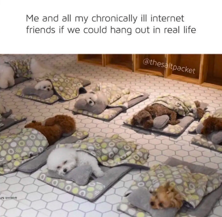 "Me and all of my chronically ill internet friends if we could hang out in real life" on the top, images of sleeping dogs at the bottom