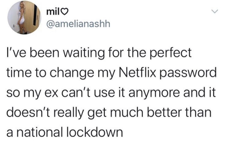 I've been waiting for the perfect time to change my Netflix password so my ex can't use it anymore and it doesn't really get much better than a national lockdown
