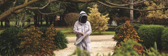 photo of person in white beekeeping outfit in middle of path with trees