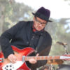 Elvis Costello playing the guitar at a concert