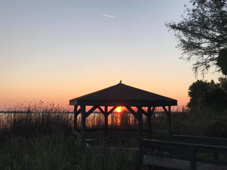 gazebo at the park at sunset