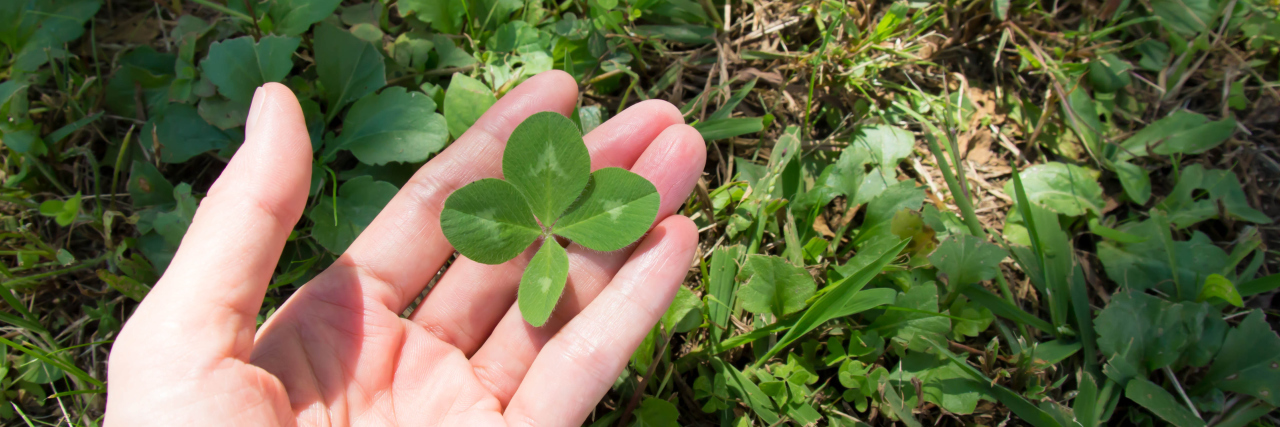 Person holding a 4-leaf clover.