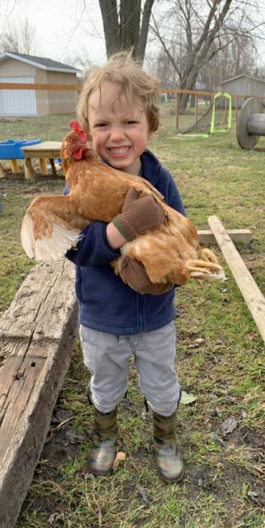 Little boy holding rooster