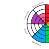 circle graphic of different areas of sensitivity