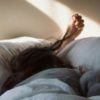photo showing light coming through window onto bed, where a girl is waking up and playing with her hair. only her hair and hand can be seen