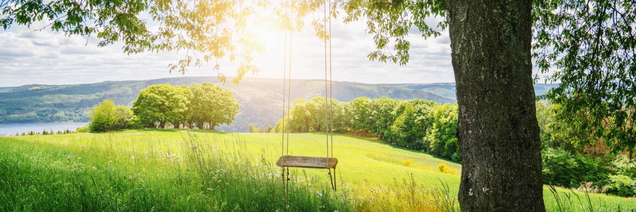 Old wooden vintage swing hanging from tree in meadow.