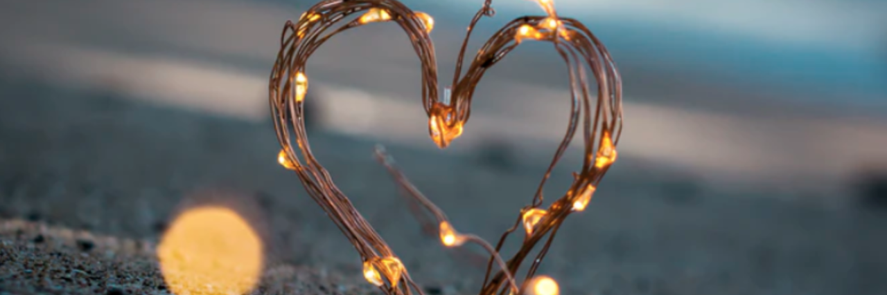 Image of heart made out of natural materials and twinkling lights