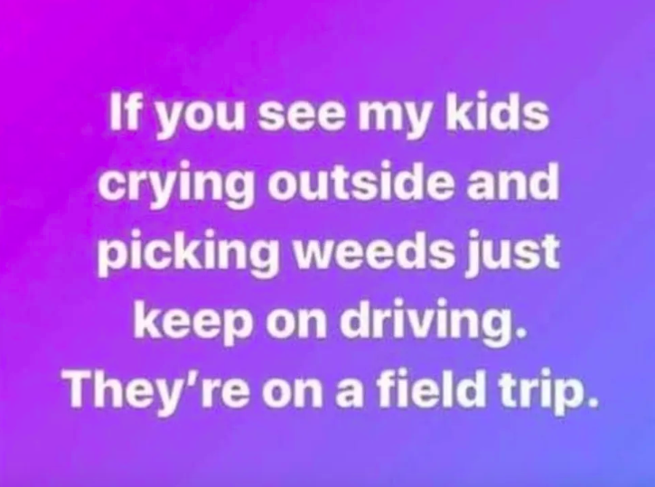 If you see my kids crying outside and picking weeds just keep on driving. They're on a field trip.