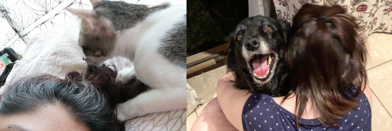 [Left] Cat looking a woman's hair. [Right] A woman hugging a happy dog