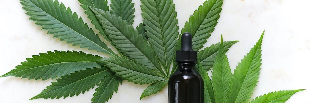 Does CBD Help With PTSD? Cannabis plant leaves with a black bottle on top against a white background