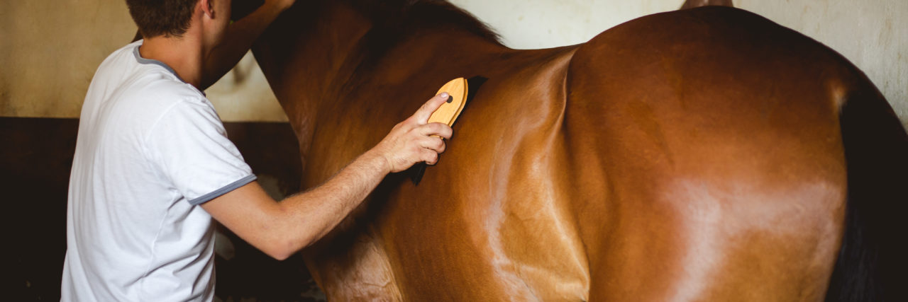 a young man is brushing a horse
