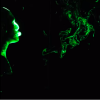 Mannequin head on black screen with green smoke floating across the background