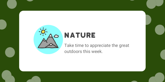Week 34: Nature